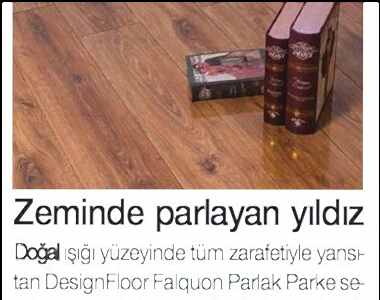 Hürses Gazetesi