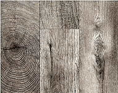 Kaindl - Natural Touch Premium 10.0 - Laminat Parke K4384 Oak Fresco Leave